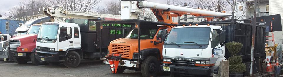 BJS Tree Service LLC